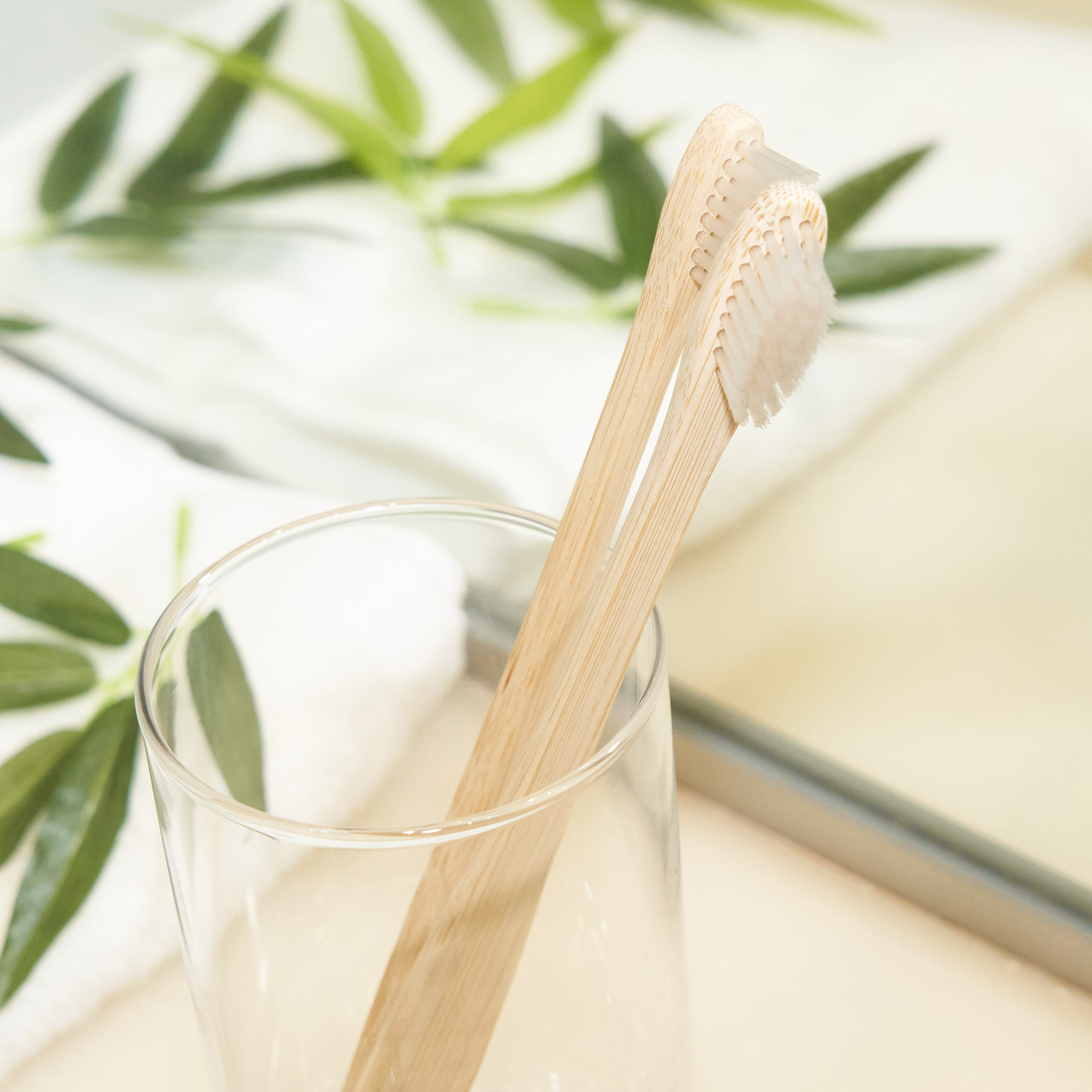 竹歯ブラシ（レギュラータイプ）　SUS organic Tooth Brush