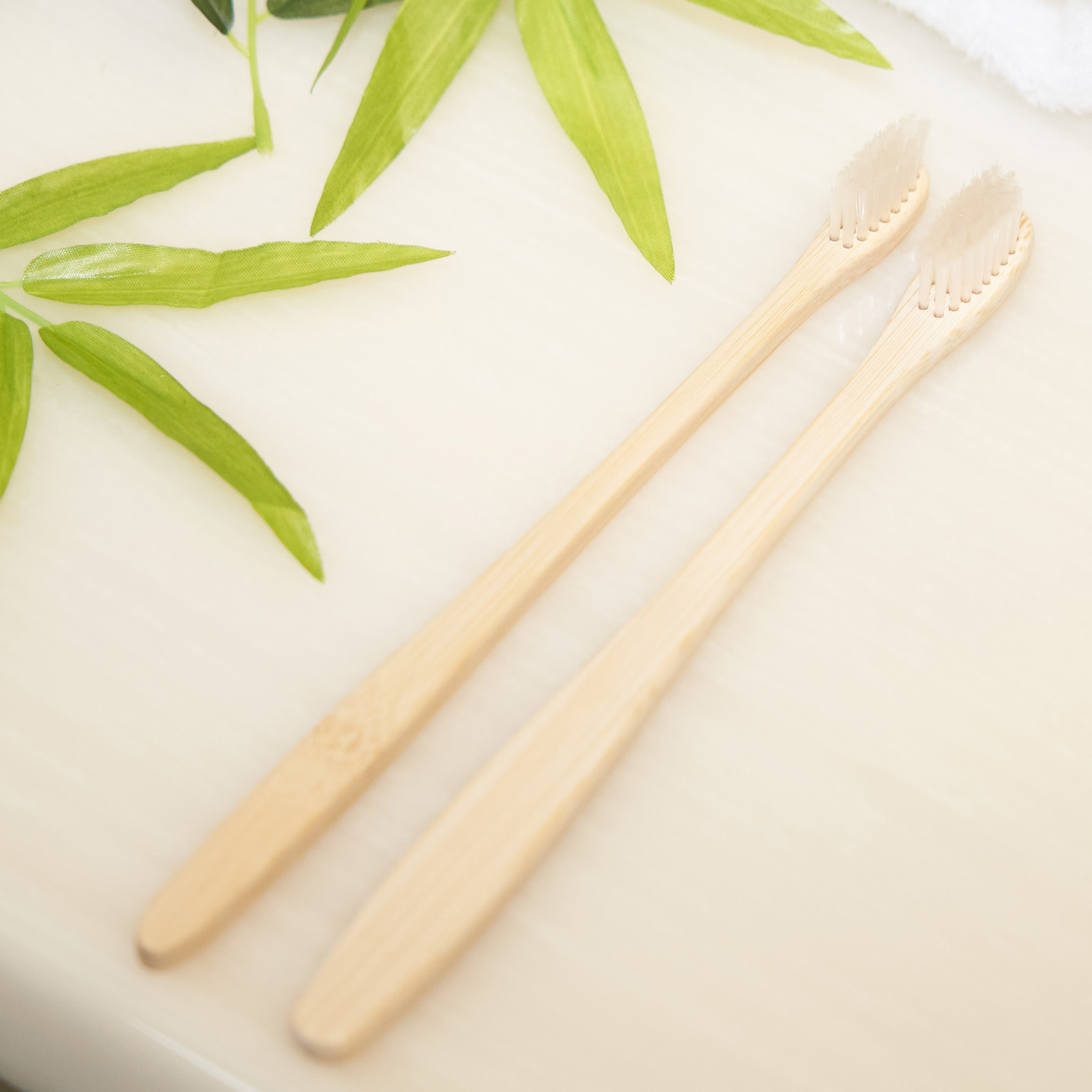 竹歯ブラシ（レギュラータイプ）　SUS organic Tooth Brush