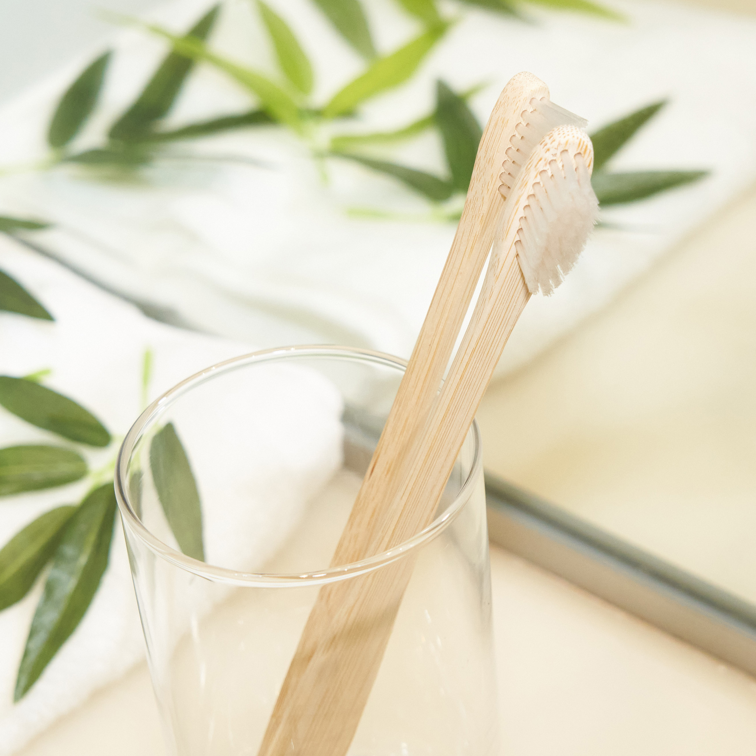 ひまし油使用 竹歯ブラシ　SUS Organic Tooth Brush-100% Plant-based-