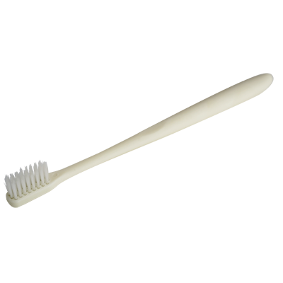 とうもろこし由来 歯ブラシ　SUS Corn Tooth Brush