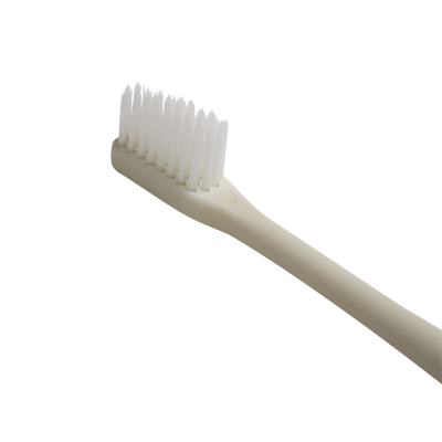 【特注】とうもろこし由来 歯ブラシ　SUS Corn Tooth Brush